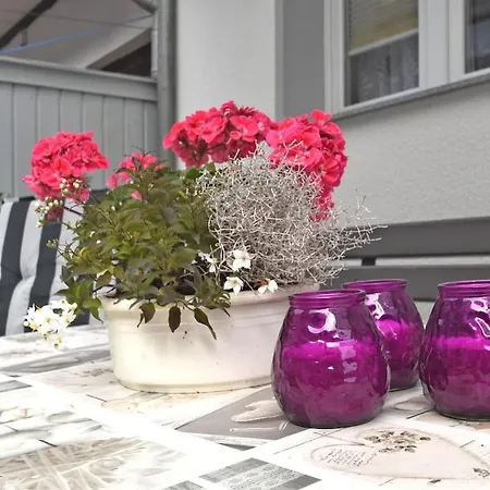 In Elbingerode With Garden روبيلاند