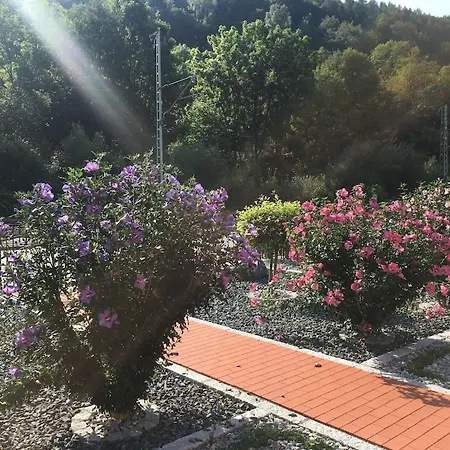 In Elbingerode With Garden *